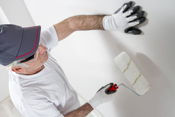 Best Mold Documentation for Insurance Claims  in Prescott Valley, AZ