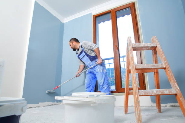 Prescott Valley, AZ Mold Removal Company