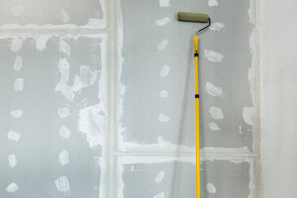 Best Black Mold Removal  in Prescott Valley, AZ