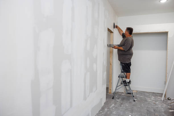 Best Emergency Mold Remediation  in Prescott Valley, AZ