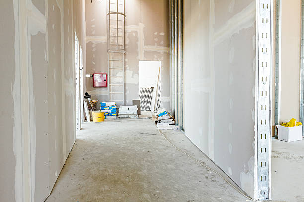  Prescott Valley, AZ Mold Removal Pros