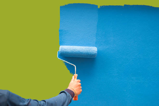 Best Mold Damage Restoration  in Prescott Valley, AZ