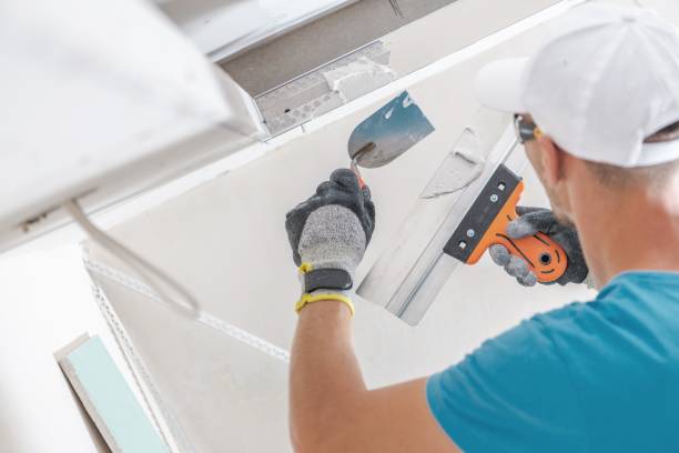 Best Basement Mold Removal  in Prescott Valley, AZ